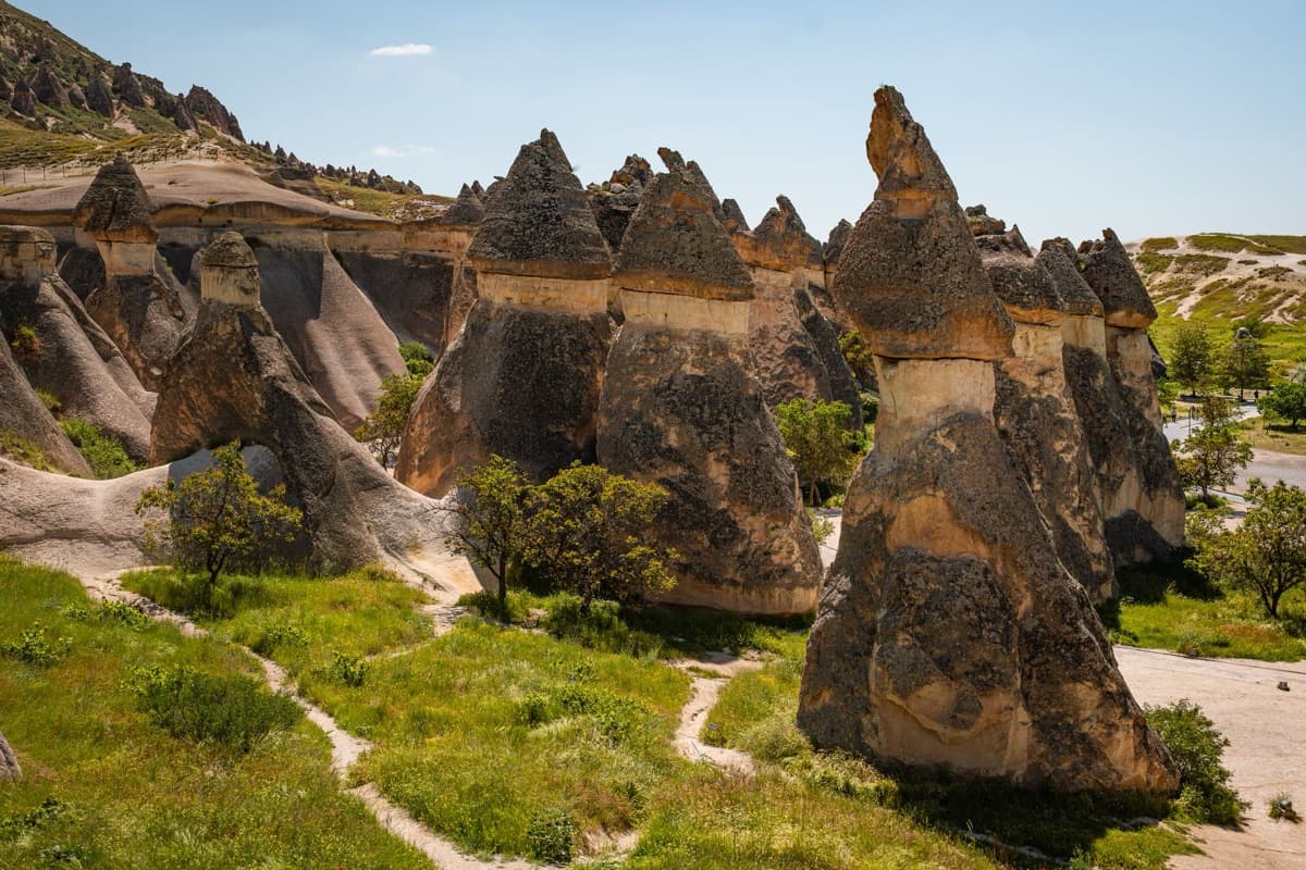 Mushroom-capped fairy chimneys rising over green valley paths at Paşabağ, Cappadocia